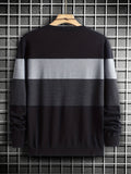 Joior All Match Knitted Color Block Sweater, Men's Casual Warm Slightly Stretch Crew Neck Pullover Sweater For Men Fall Winter